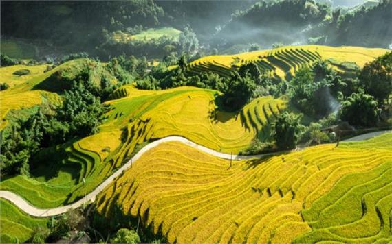North West and Halong Bay Tour 9 Days